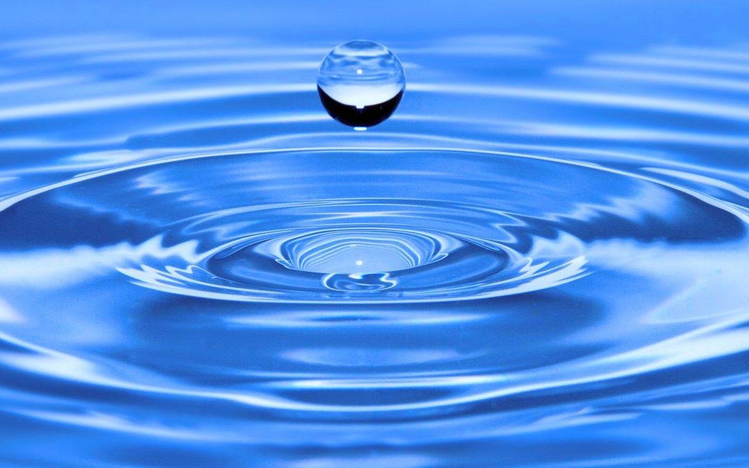 Sesión informativa sobre Mindfulness y MBSR